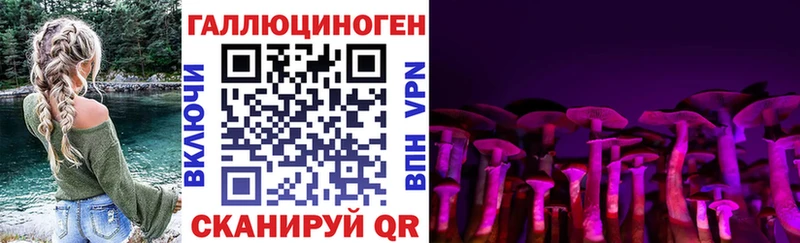 Псилоцибиновые грибы GOLDEN TEACHER Владимир