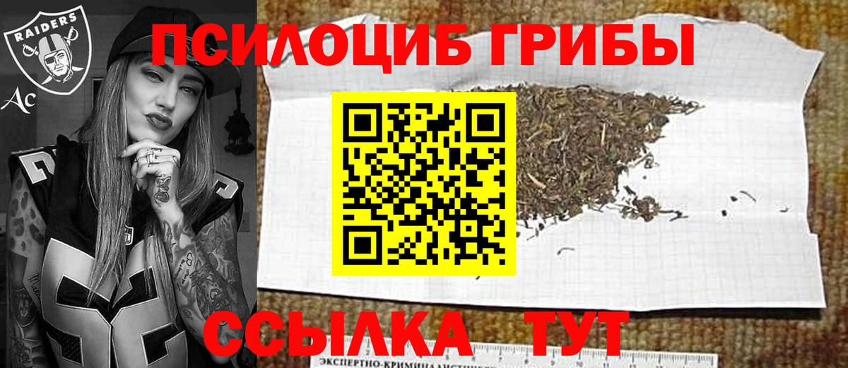 Владимир  Галлюциногенные грибы Cubensis  как найти   Вход с VPN 