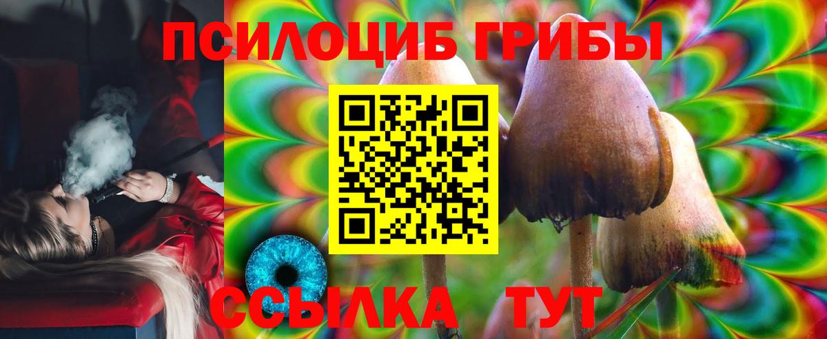 Псилоцибиновые грибы мухоморы Владимир